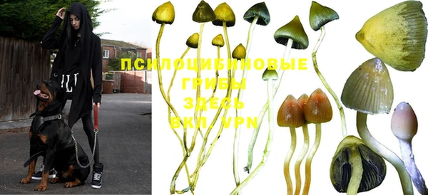 тгк Абдулино