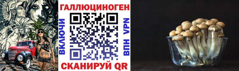 Галлюциногенные грибы GOLDEN TEACHER  купить   МЕГА как зайти  Благовещенск 