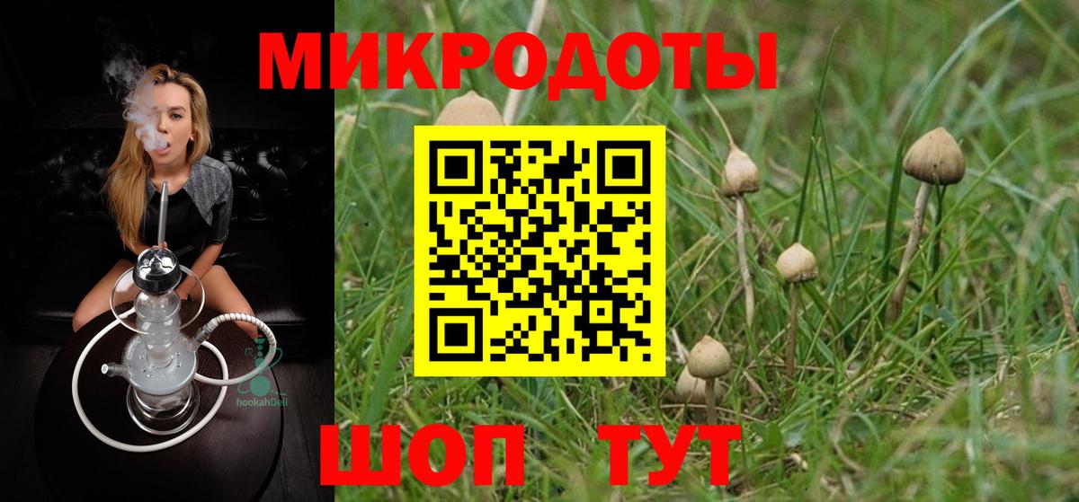 Псилоцибиновые грибы MAGIC MUSHROOMS  Псилоцибиновые грибы ЛСД  Благовещенск  Вход с VPN 